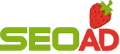 SEO AD (SEO Advertising)