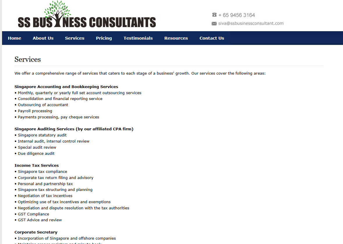 SS Business Consultant – Corporate Consulting & Business Advisory Website — screenshot 2
