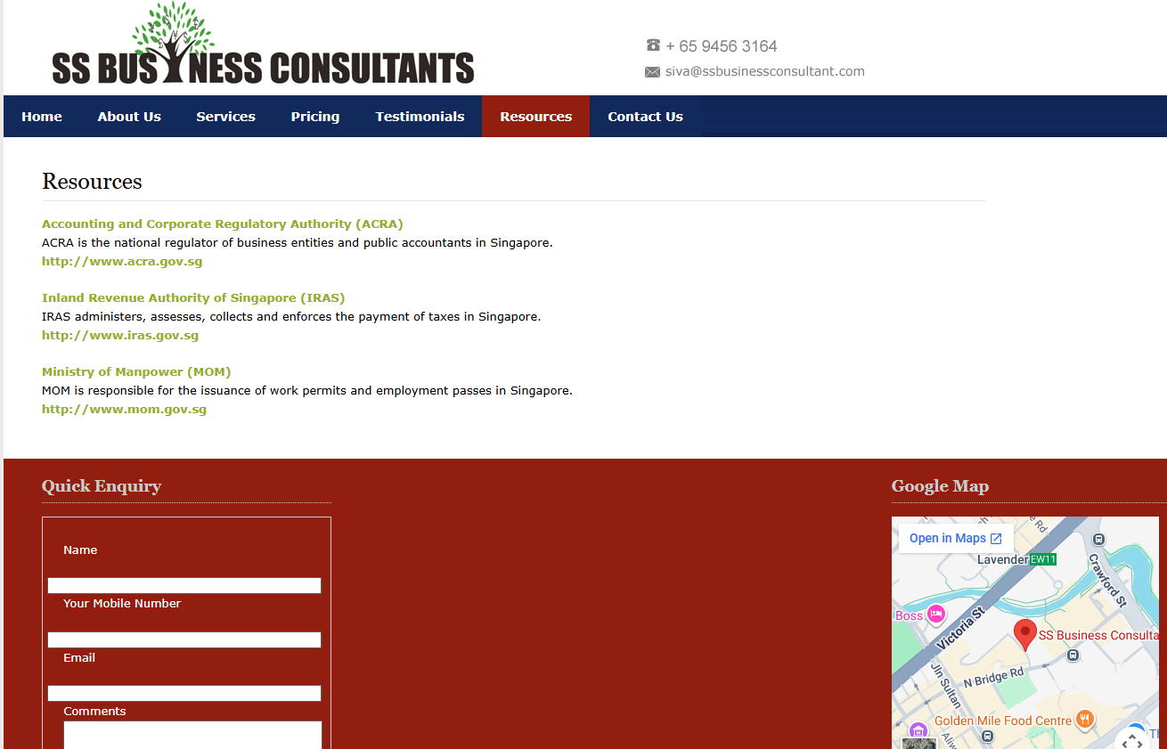 SS Business Consultant – Corporate Consulting & Business Advisory Website — screenshot 3