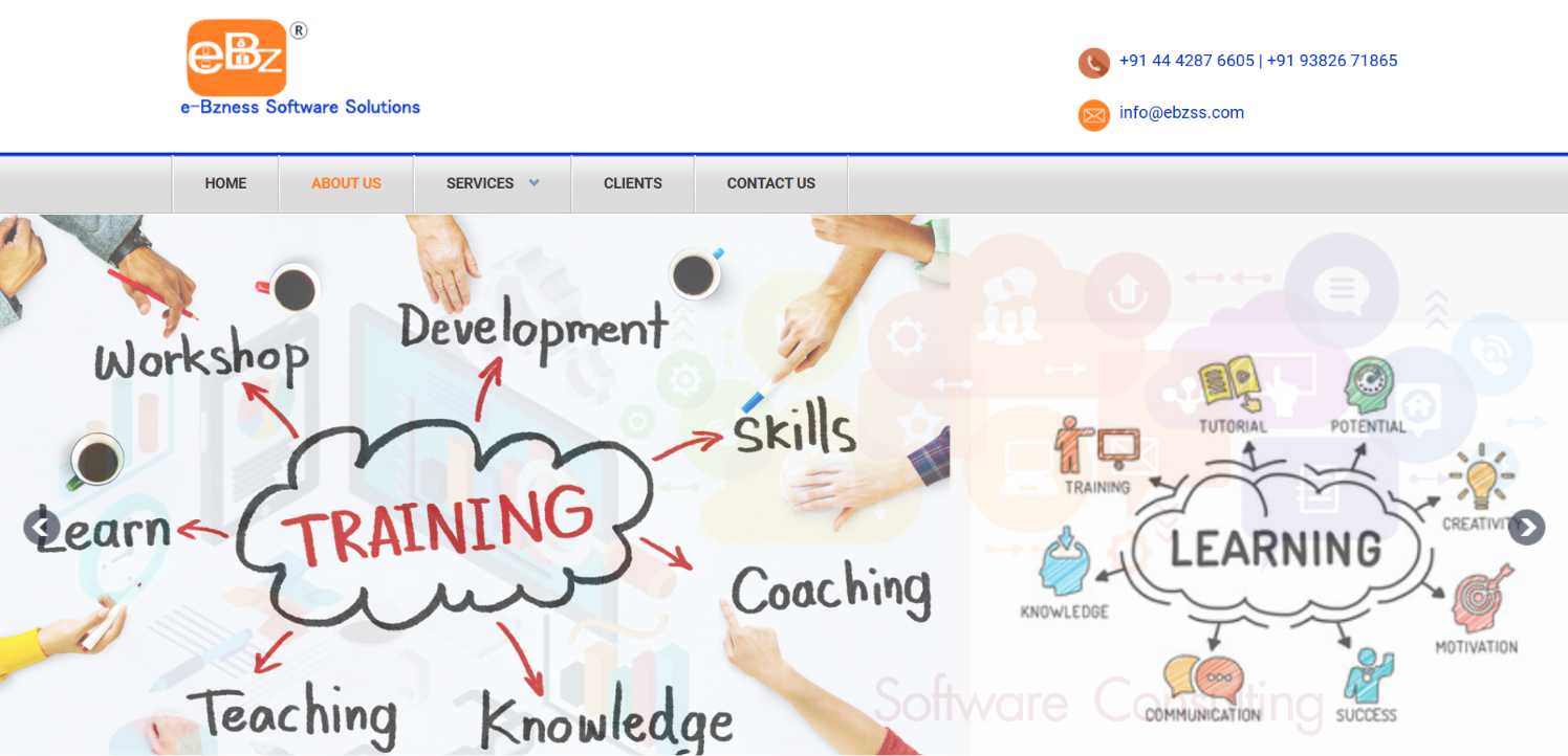 Software Consulting & IT Solutions Website — screenshot 2
