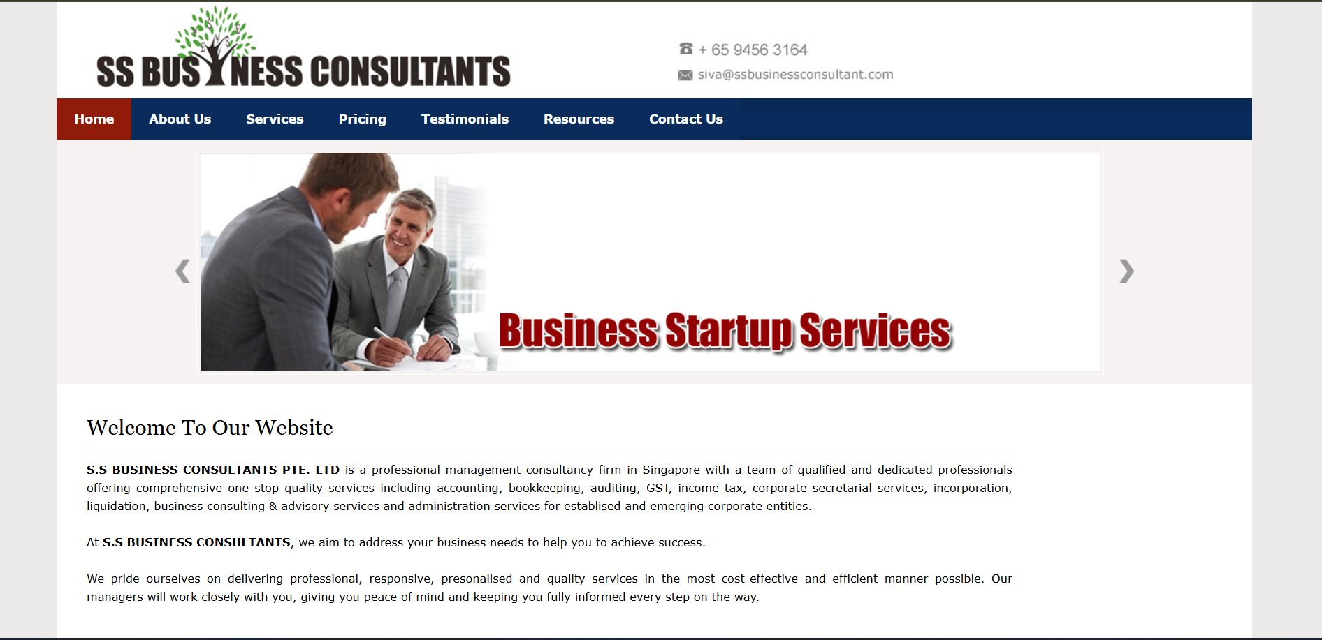 Business Consulting & Corporate Services Website Development — screenshot 1