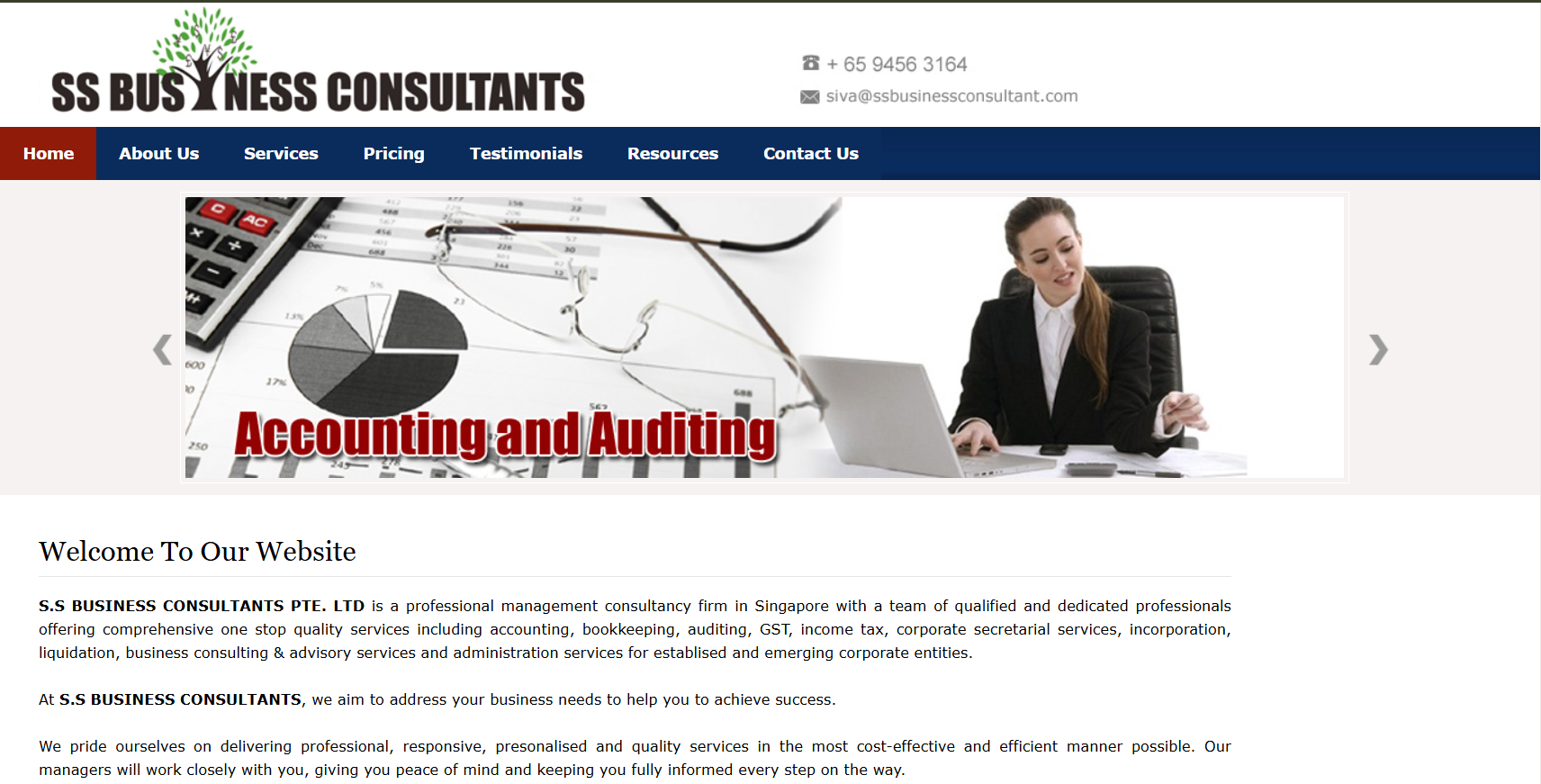 Business Consulting & Corporate Services Website Development — screenshot 2